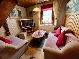 Gemuetliches-kleines-Ferienhaeuschen-Nr-3-im-Harz-fuer-max-3-Personen-inkl-Balkon โรงแรมในSieber
