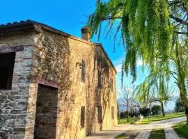 B&B Nel Vigneto