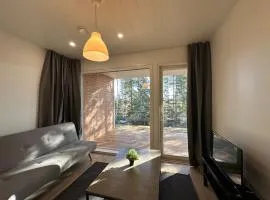 Kotimaailma - Uusi rivitalokolmio saunalla # 2