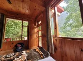 Tirthan Rahi Homestay
