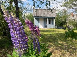 Grandma's summer house, rental liburan di Ludza