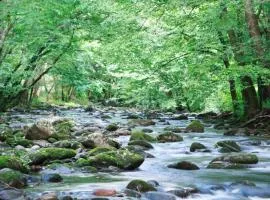 Cork's Creekside By Stony Brook Cabins