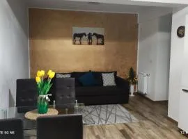 Apartament Lenus'k