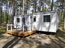 Kleines aber feines Ferienhäuschen in Strandnähe - Tiny Chalet Nr 819