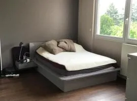 Chambres à loyers dans un Penthause
