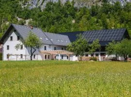 Domačija Log v Bohinju