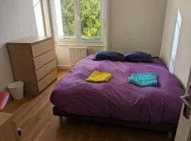 Chambre double confortable, au calme et très proche du centre ville de Lyon