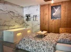 Hohneck - Studio de Montagne La Bresse / Gerardmer