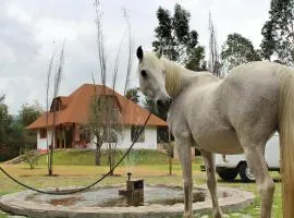 Casa Ecolgica Al Pie Del Volcn