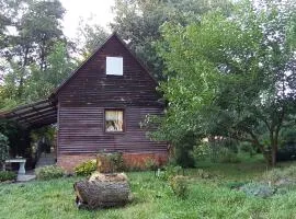 Eko Panorama Okolice Nałęczów