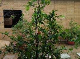 Bentrestay, acomoda&ccedil;&atilde;o com cozinha em Ben Tre