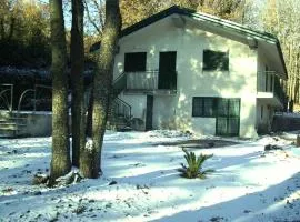 Castagneto dell ETNA