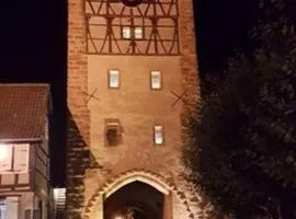 Le clocher aux cigognes au village de Bergheim