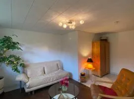 Apartment Yildiztepe