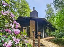 Stunning Home In Rheezerveen With Sauna