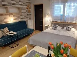 Apartamenty i Mieszkania Wakacyjne