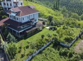 Karslı Villa