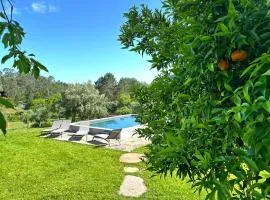 Casa S.Cláudio - rural home near Viana do Castelo