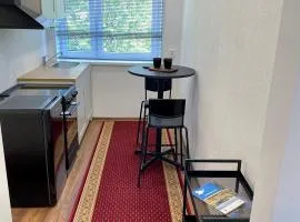 Karula Stay 1 Room City Apartment