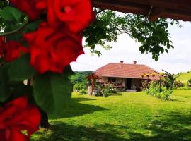 Kuća za odmor Zdravac, cabaña o casa de campo en Kragujevac
