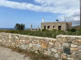 Mitato's Horizon