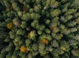 Placàt Eco Camping nel bosco