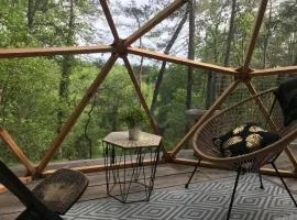 Arborea, nuits insolites au cœur de la forêt