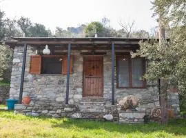 Seaelia CottageHouse
