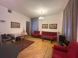 Cozy apartment in the heart Yerevan
