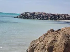Studio Zitouna