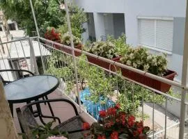 Apartmani Nina