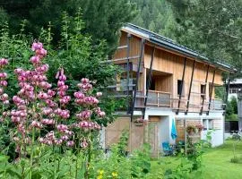 Chalet Walser à VALLORCINE 13 kms CHAMONIX France
