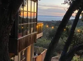 Cabin on the American Riviera