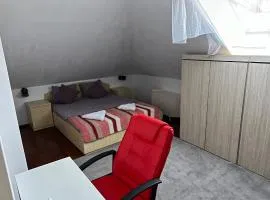 Bucium Hill View Apartment