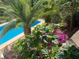Amazing view villa