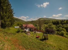 Kuca Lula Stara planina, hotel v destinaci Pirot