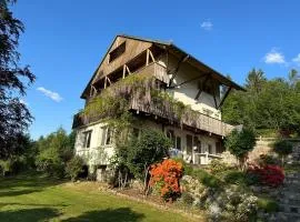 Gérardmer chalet le Belvédere vue lac, piste de ski