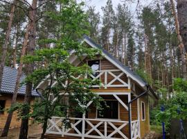 Leśny Domek Rotembark, cabana o cottage a Rotembark