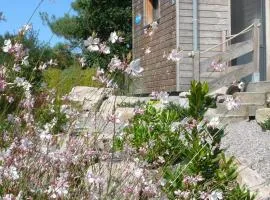 Au grès des pins