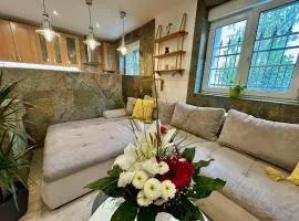 MILET style and spacy 2 room apartment with AC in Bratislava Nivy