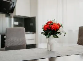 Accommodation Vuko