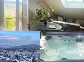 appartement la fleur d'abeille avec une belle vue et spa, hotel v destinaci Gérardmer