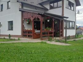 Casa Vasy, country house in Vatra Dornei