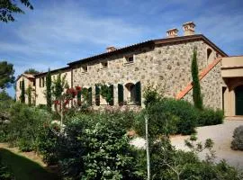 Ulivo nel Borgo Santa Chiara
