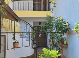 Casa Luminița