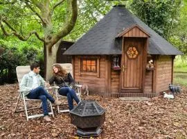 Starry Meadow & Rescued Animal Experiences