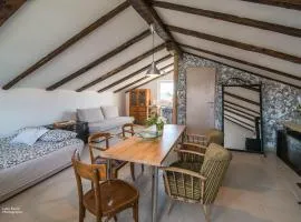 Studio apartman Popović