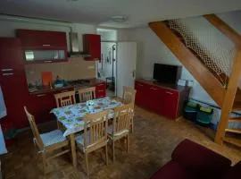 Apartment 67 Ana, Terme Čatež