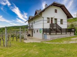 Vineyard Homestead Vrtin - Happy Rentals, cabaña o casa de campo en Dragatuš