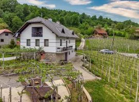 Vineyard Homestead Vrtin - Happy Rentals